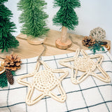 Starfish Ornament Set